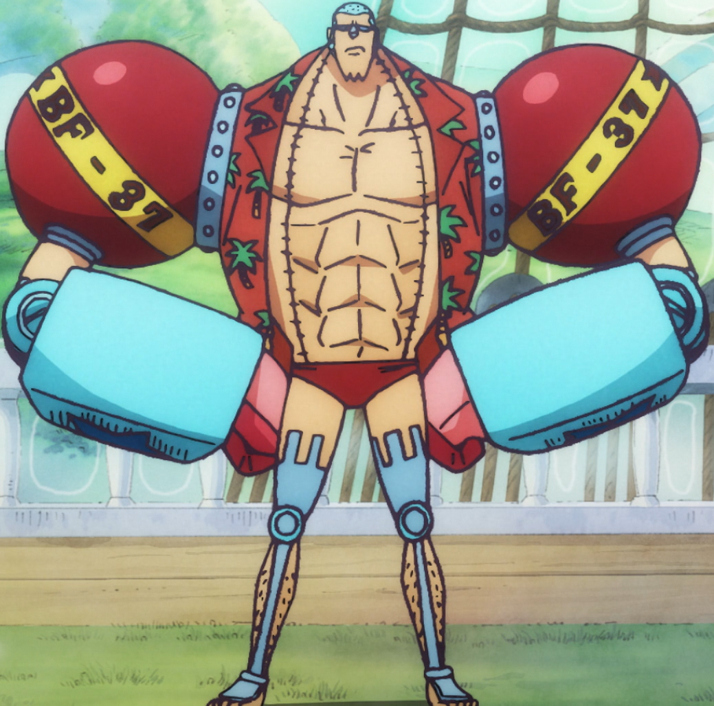 one piece time skip franky