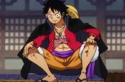 Luffy-305909