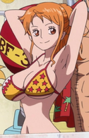 Nami en Punk Hazard.png