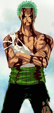 Zoro dopo TB