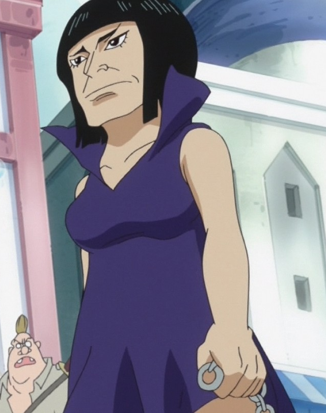Cocoa One Piece Wiki Fandom