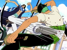 Zoro vs