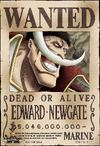 Wanted Posters One Piece Wiki Fandom