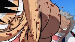 Monkey D Luffy Relationships Family One Piece Wiki Fandom