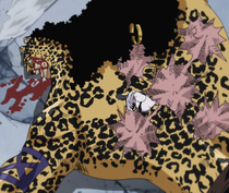 Lucci Defeated by Luffy