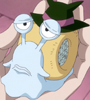 Aren't Live Action den den mushis backwards? Aren't they are supposed to  have the face of the person CALLING, and not their owner's face? :  r/OnePiece