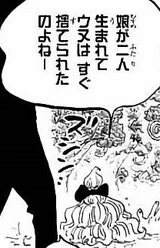 Volume One Piece Wiki Fandom