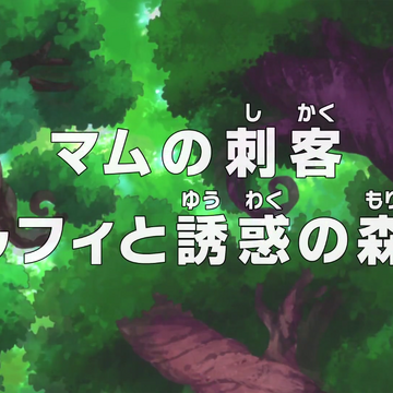Episode 792 One Piece Wiki Fandom Episode 792 One Piece Wiki Fandom