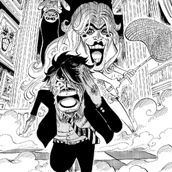 Category Cover Stories One Piece Wiki Fandom