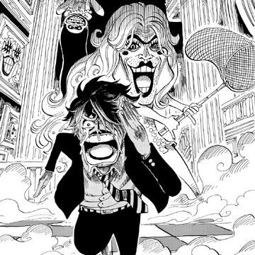 Straw Hat S Separation Serial One Piece Wiki Fandom