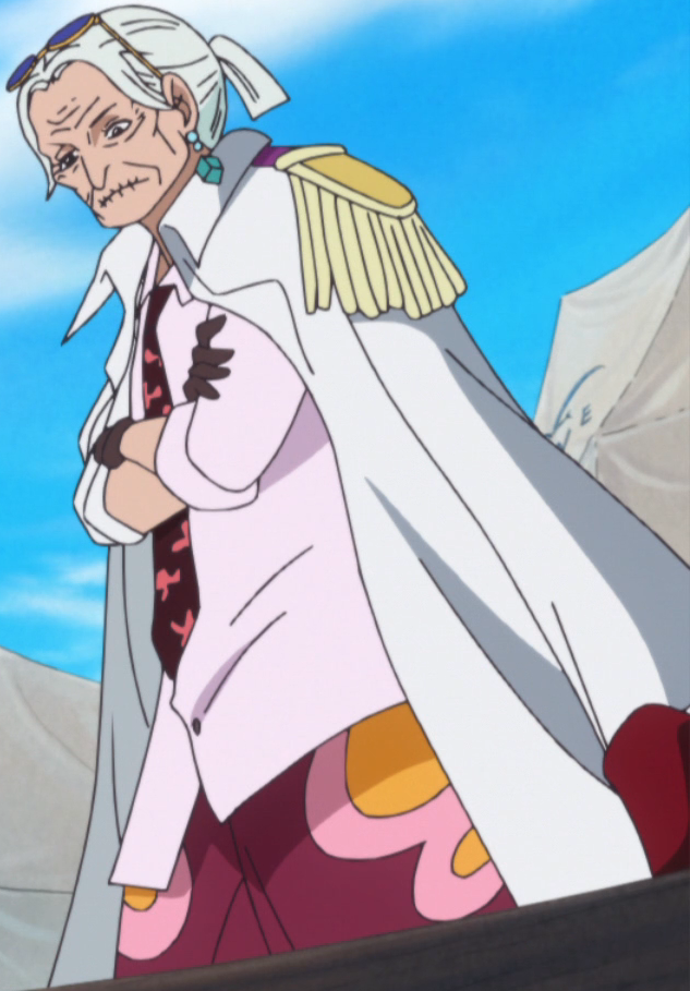 Voyage Saga - Issho, better known by his alias Fujitora, is an admiral in  the Marines. Fujitora ate the Zushi Zushi no Mi, a Paramecia-type Devil  Fruit whose power allows him to