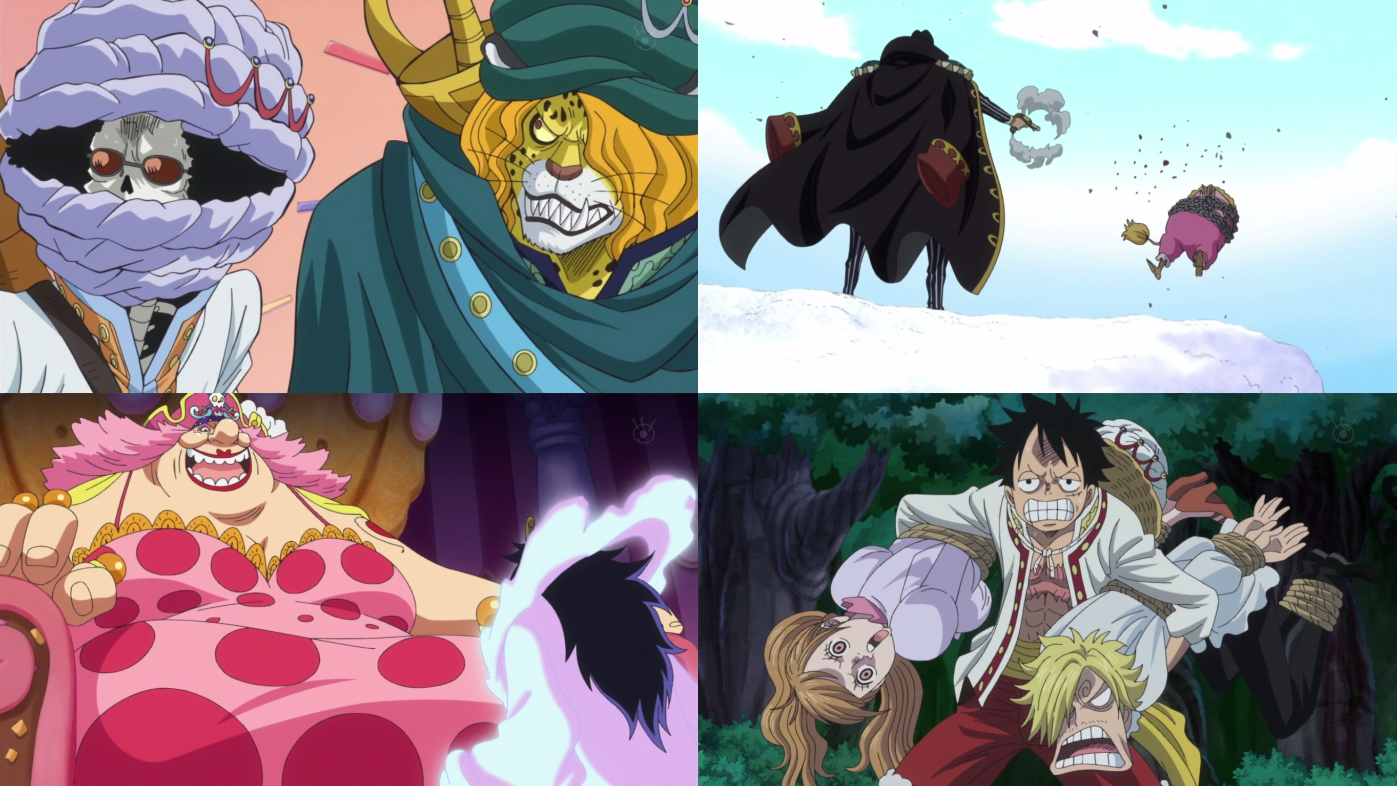 Episodio 795 One Piece Wiki Fandom