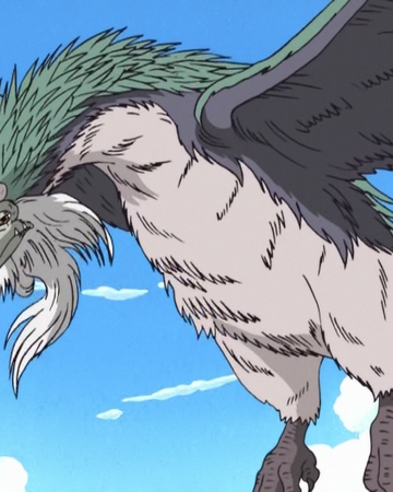 ryu one piece wiki fandom