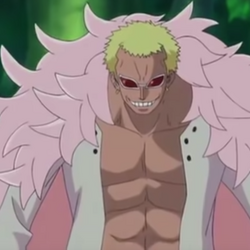 カテゴリ 超人系悪魔の実の能力者 One Piece Wiki Fandom