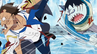 Namur One Piece Wiki Fandom