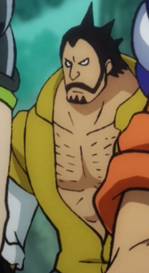 Roger Pirates - One Piece Wiki - Fandom