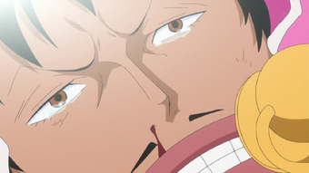 Senor Pink One Piece Wiki Fandom Senor Pink One Piece Wiki Fandom
