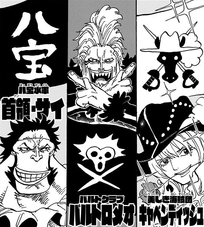 Straw Hat Grand Fleet One Piece Wiki Fandom