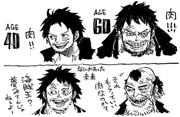 SBS89 Luffy