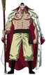 Whitebeard Anime Concept Art