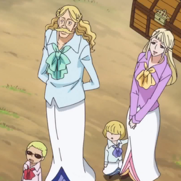 Donquixote Family One Piece Wiki Fandom