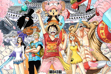 Capítulo 843, One Piece Wiki