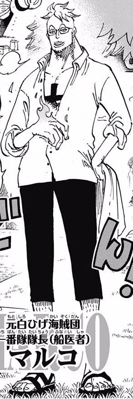Marco One Piece Encyclopedie Fandom Marco One Piece Encyclopedie Fandom