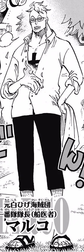 Marco One Piece Encyclopedie Fandom Marco One Piece Encyclopedie Fandom