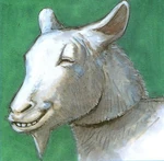 Volume 040 Intro Image