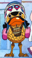 Karoo, One Piece Wiki, Fandom