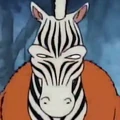 Zebra-Ostrich portrait