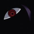 世界政府 航海王wiki Fandom 世界政府 航海王wiki Fandom