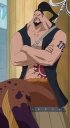 Aladine One Piece Wiki Fandom