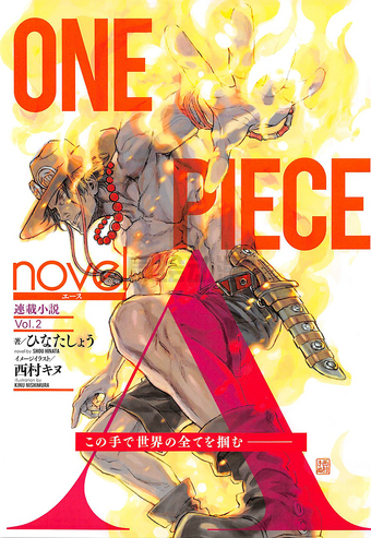 Japan One Piece Novel Lot One Piece Novel Ace Vol 1 2 Set Japanese Anime Drkingplaza One Piece