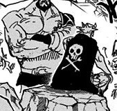 Volume 79 One Piece Wiki Fandom