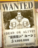 Mooji Wanted Poster