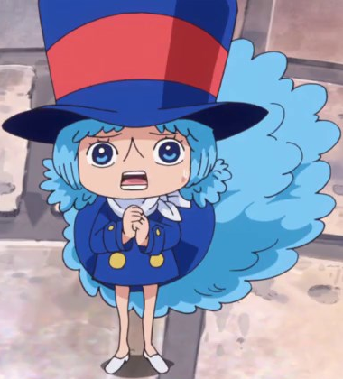 Cotton, One Piece Wiki