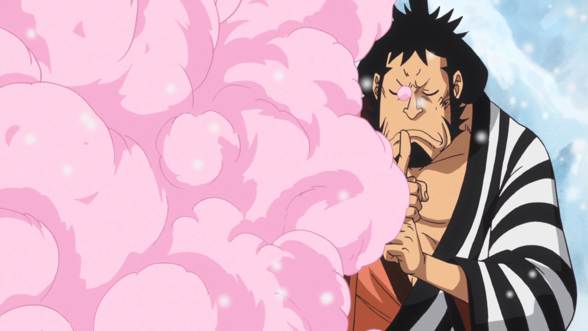 Fuwa Fuwa no Mi Devil Fruit in One Piece