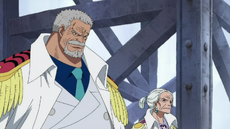 Garp and Tsuru