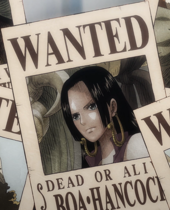 Wanted Posters One Piece Wiki Fandom
