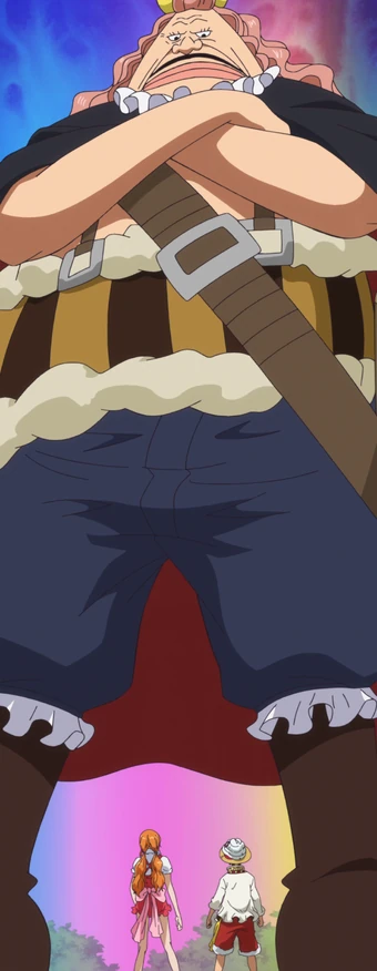 Pound One Piece Wiki Fandom