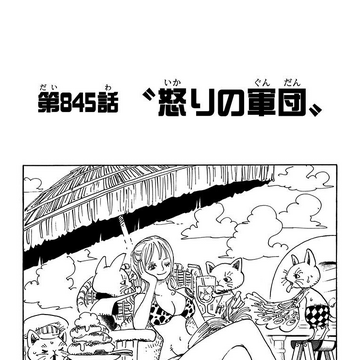 Chapter 845 One Piece Wiki Fandom