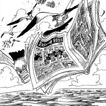 From The Decks Of The World One Piece Wiki Fandom