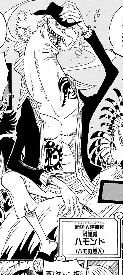 Hammond One Piece Wiki Fandom Hammond One Piece Wiki Fandom