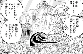 白星 航海王wiki Fandom