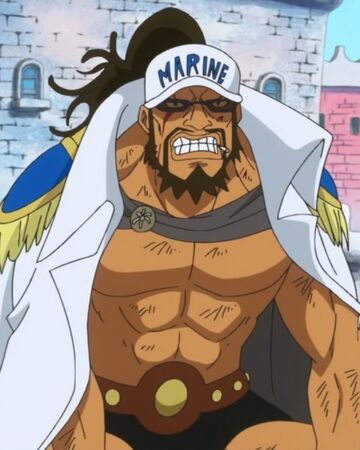 Maynard Onepiecepedia Fandom Maynard Onepiecepedia Fandom