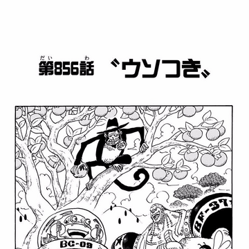 Chapter 856 One Piece Wiki Fandom