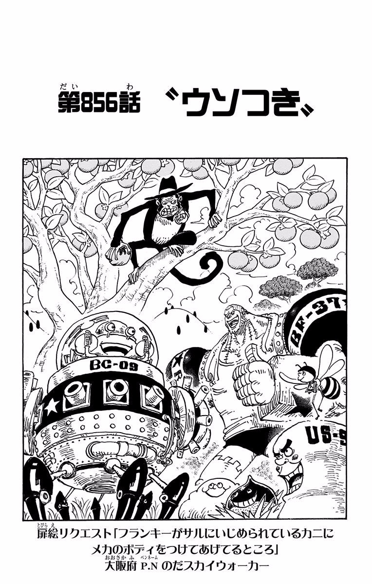 Chapter 856 | One Piece Wiki | Fandom