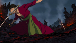 Zoro sconfigge Ain