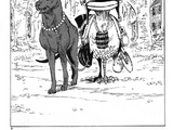 Chapter 542